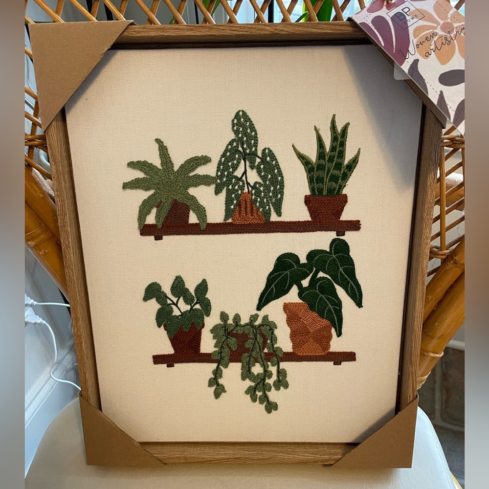 BP Home Woven Artistry Plants on Shelves
